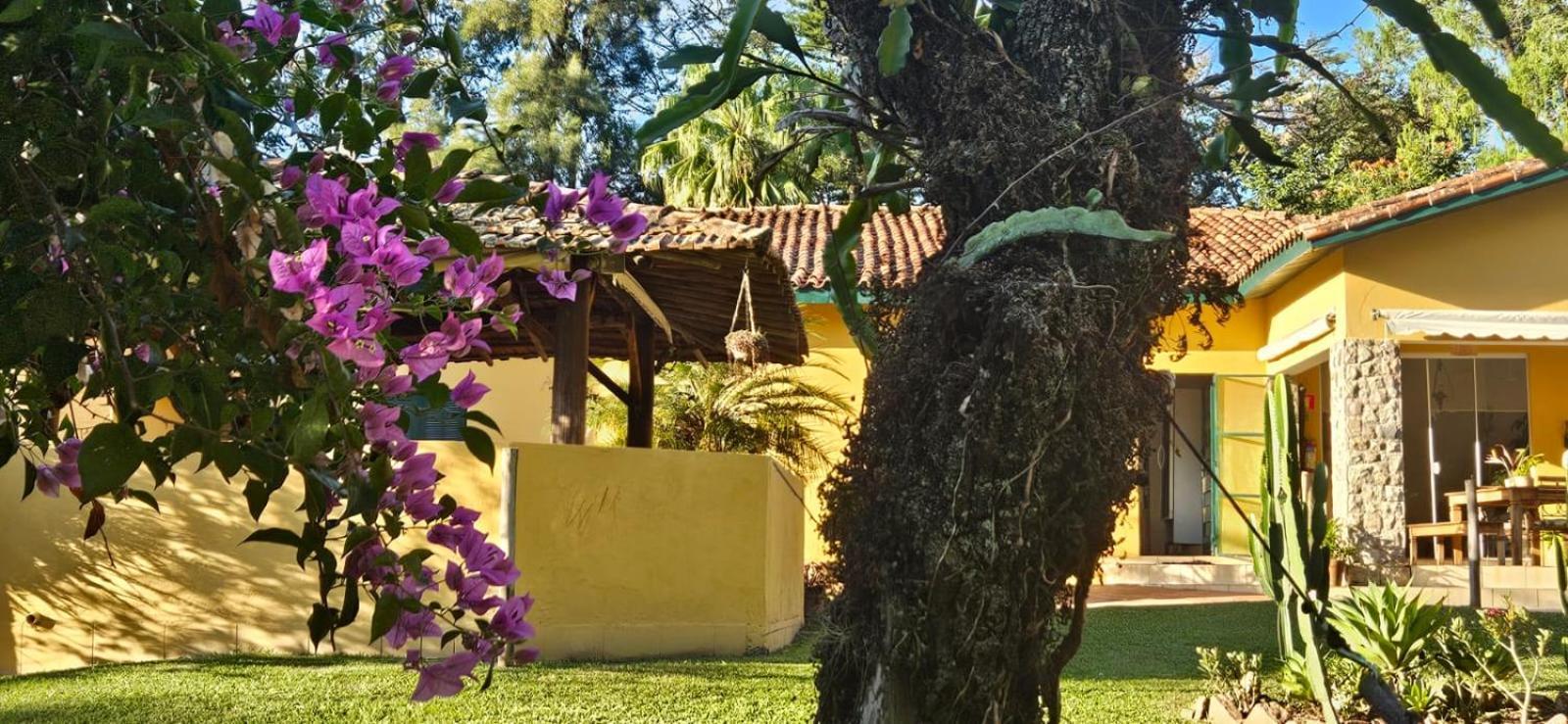 Hospedagem Fazenda Nova America 布罗塔斯 外观 照片