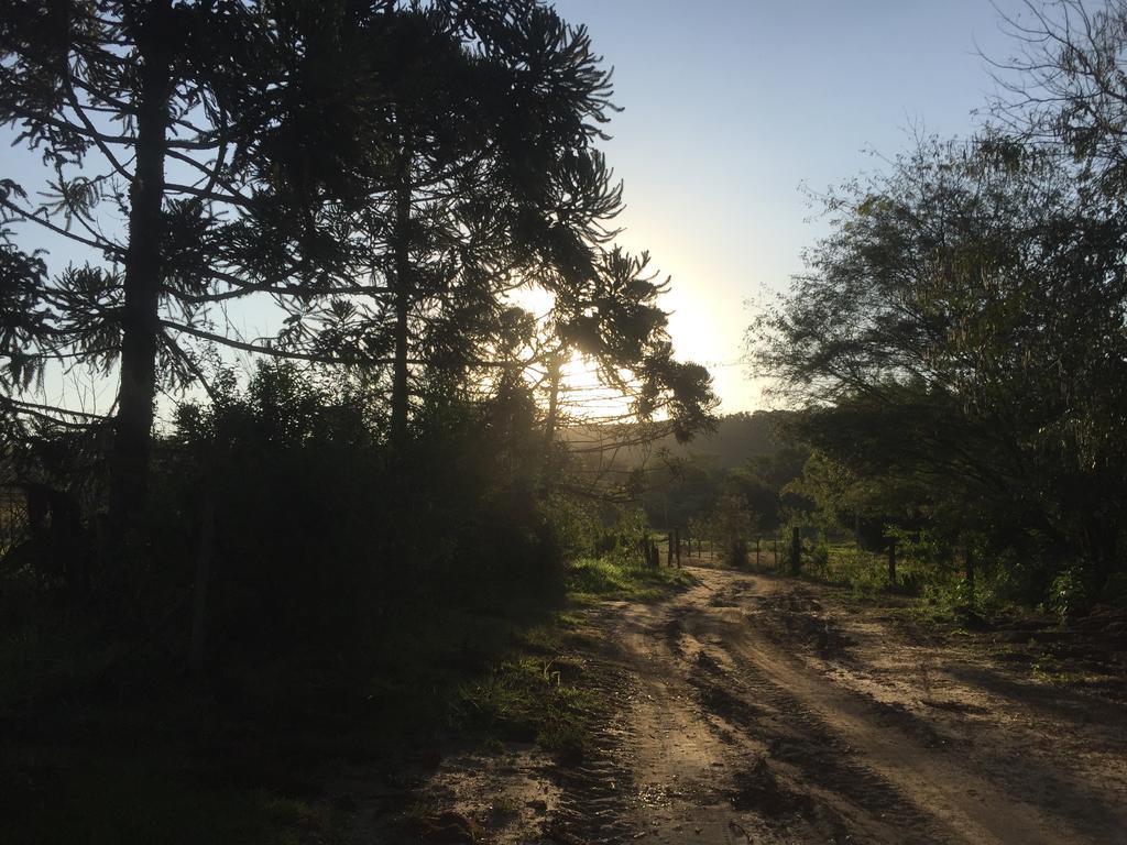 Hospedagem Fazenda Nova America 布罗塔斯 外观 照片
